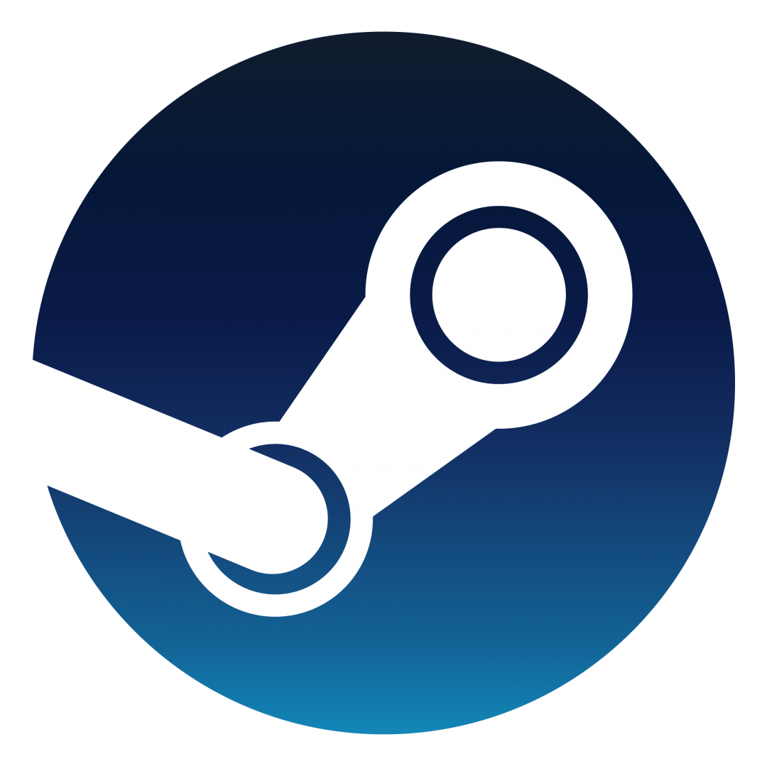 Steam / PC